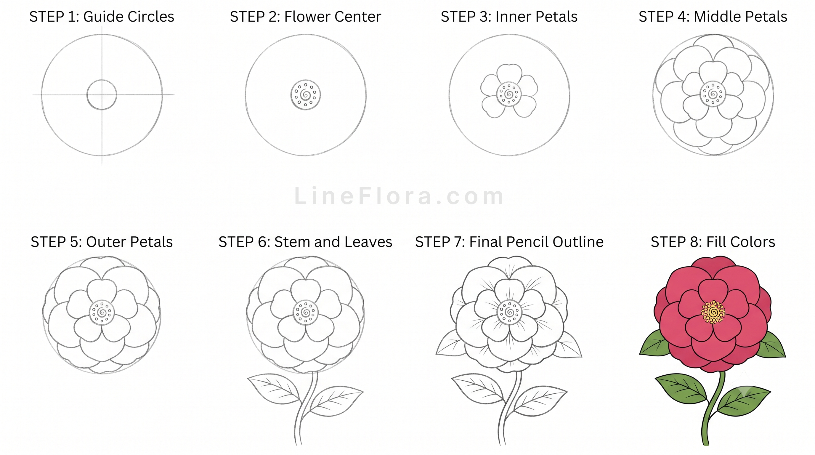 Camellia