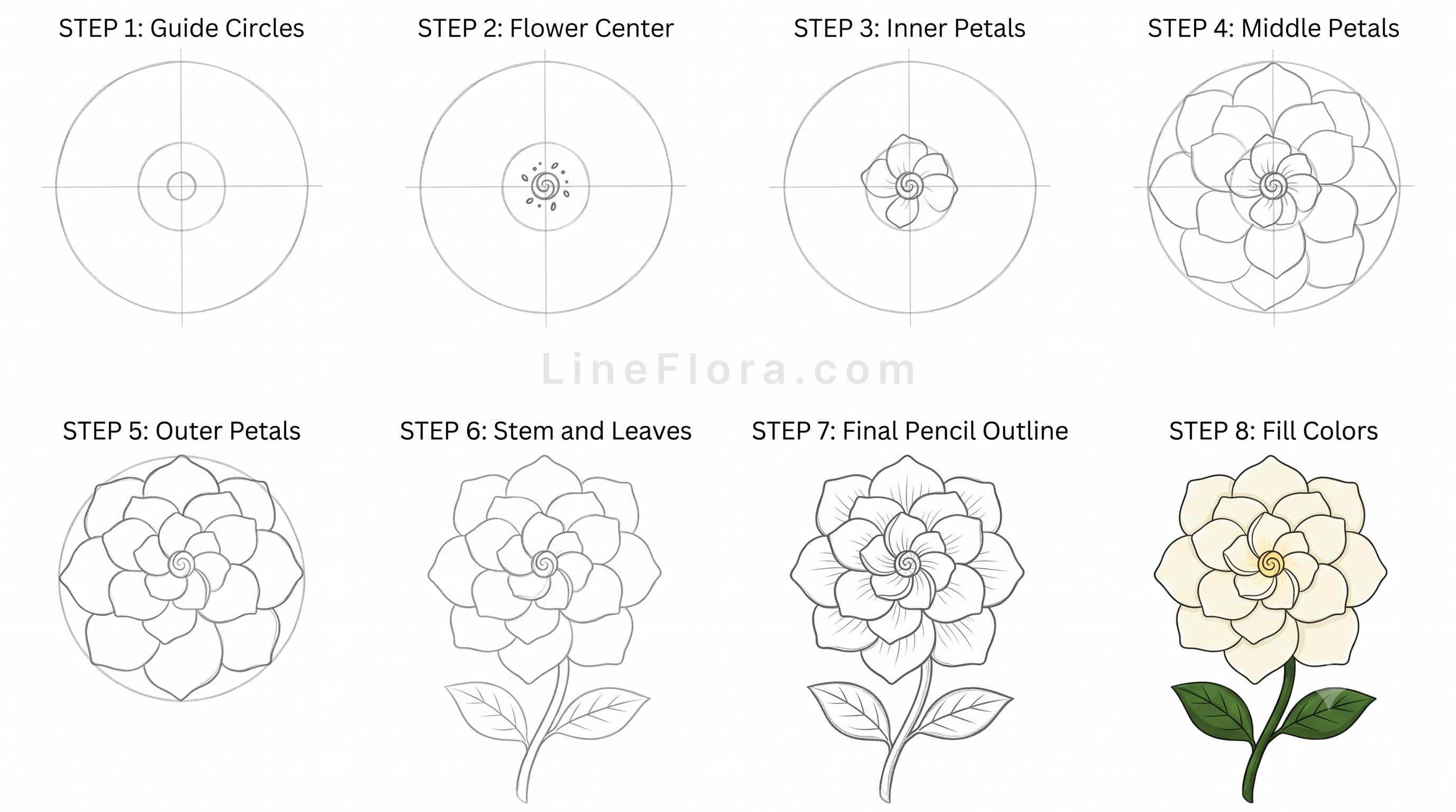 Gardenia