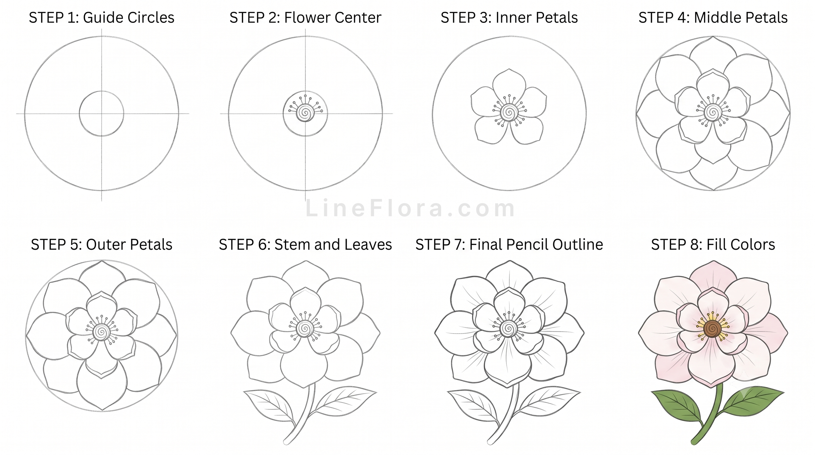 Magnolia