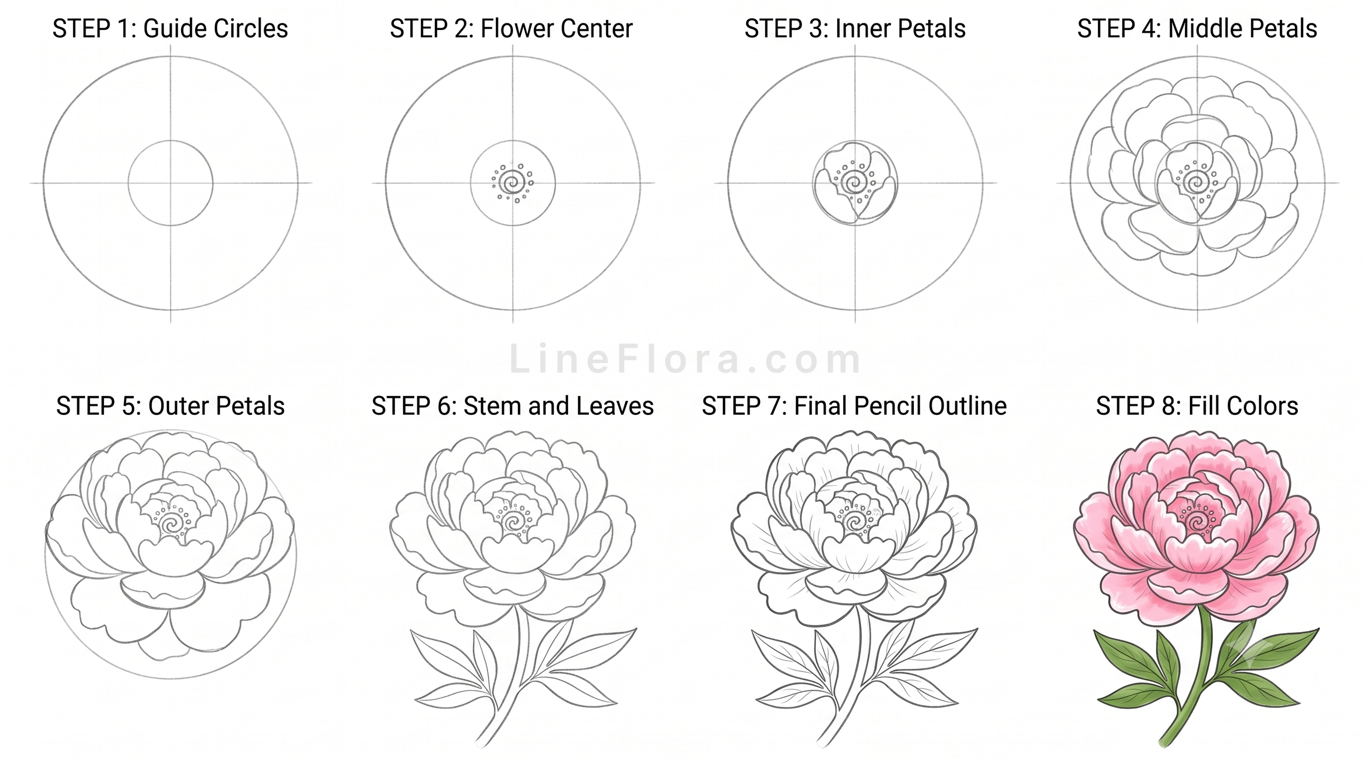 Peony