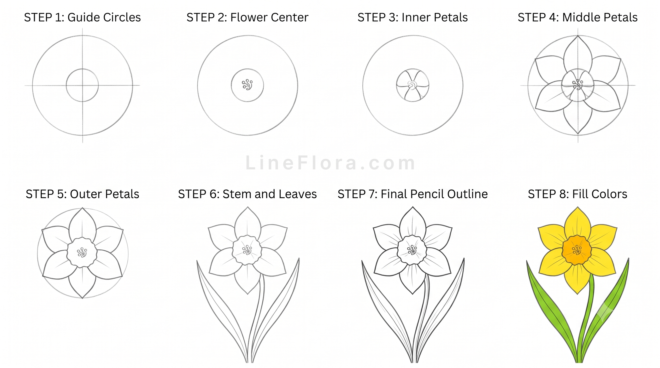 Simple Daffodil